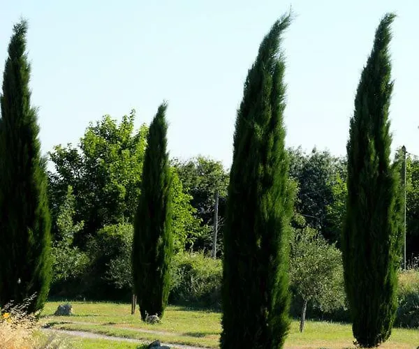 La Bastide De Lussan بيت للعطل